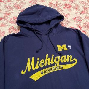 Nike Men's Navy Hoodie